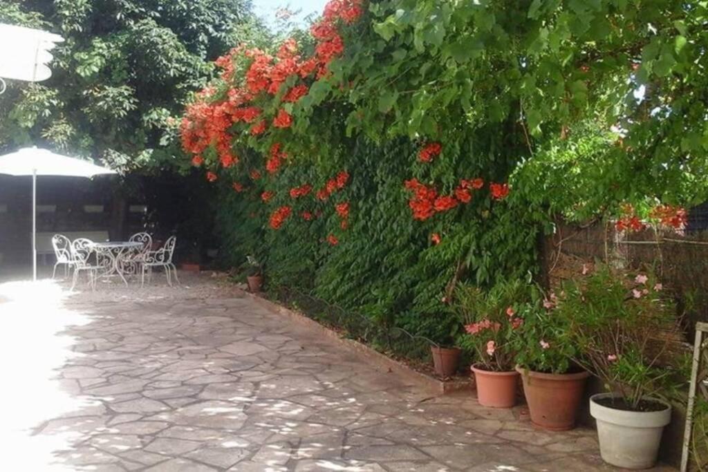 Maison De Charme En Perigord 10 Personnes La Maison D'Albertine Peyrillac-et-Millac Zewnętrze zdjęcie